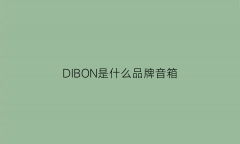 DIBON是什么品牌音箱(dido是什么牌子的音响)