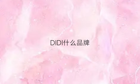 DIDI什么品牌(didi是什么牌子的包)