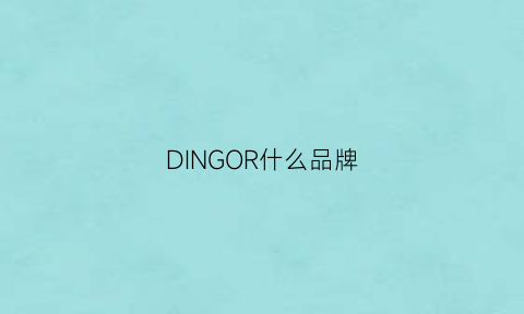 DINGOR什么品牌(dingo是什么)