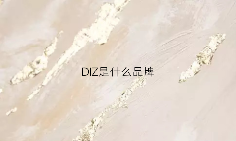 DIZ是什么品牌(dizza是什么牌子)