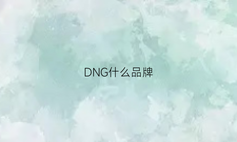 DNG什么品牌