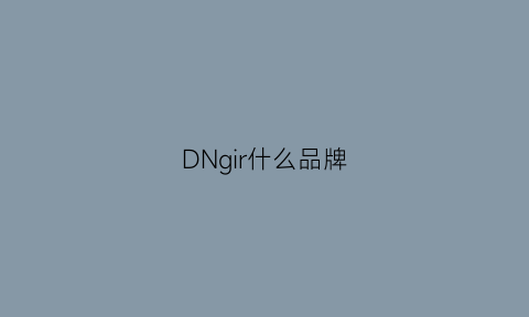 DNgir什么品牌