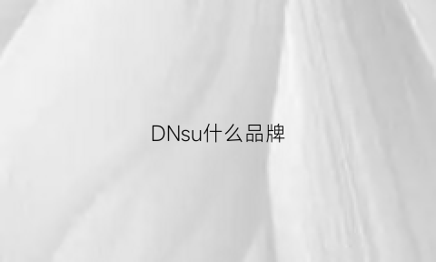 DNsu什么品牌(dnspy是什么)