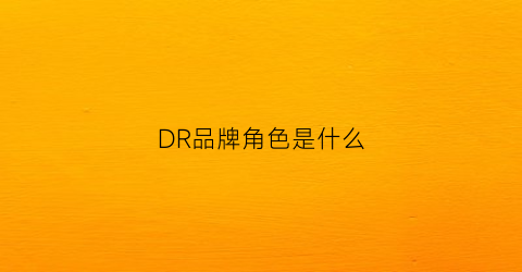 DR品牌角色是什么