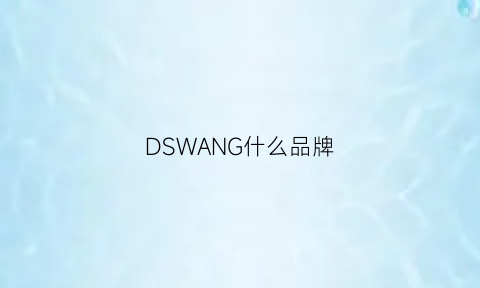 DSWANG什么品牌(ds是哪个品牌下的高端品牌)