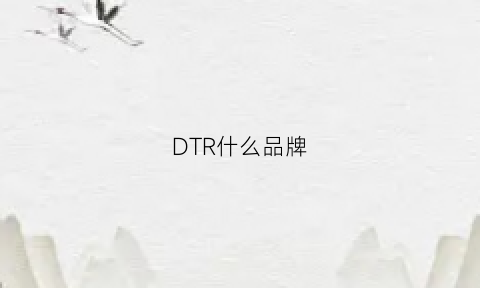 DTR什么品牌(dtdk品牌)