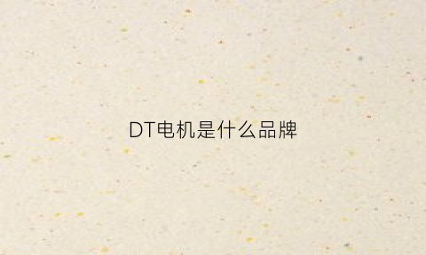 DT电机是什么品牌