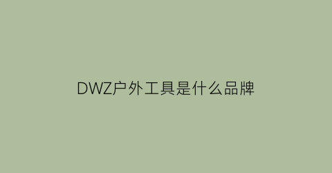 DWZ户外工具是什么品牌(dwzno手表是什么牌子)
