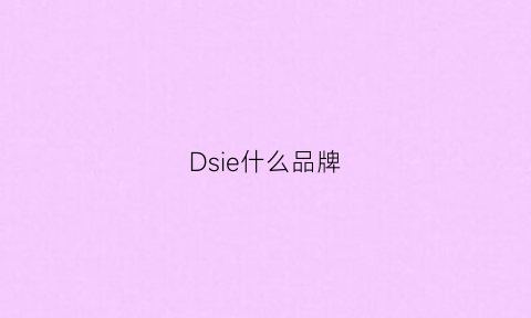 Dsie什么品牌(ds啥品牌)