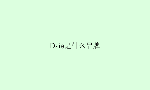 Dsie是什么品牌(dsl是什么牌子)