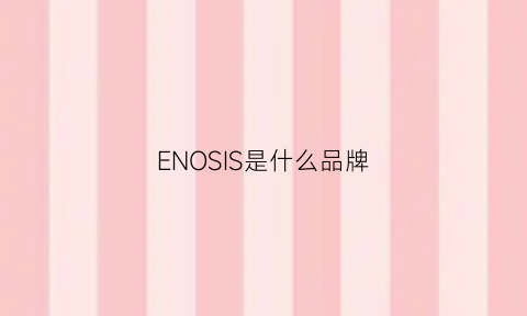 ENOSIS是什么品牌(ensign是什么品牌)