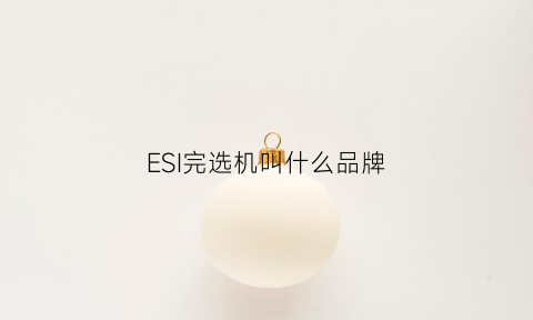 ESI完选机叫什么品牌