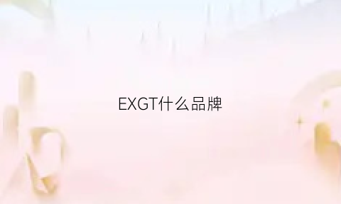 EXGT什么品牌