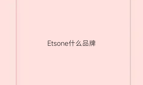 Etsone什么品牌(etnies什么档次)