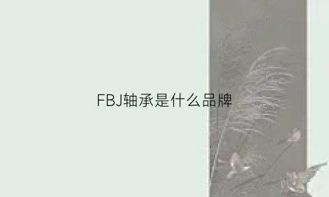 FBJ轴承是什么品牌(轴承是什么品牌)