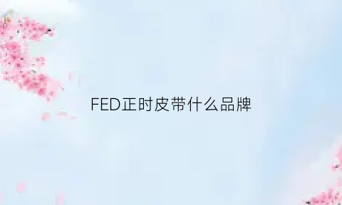 FED正时皮带什么品牌