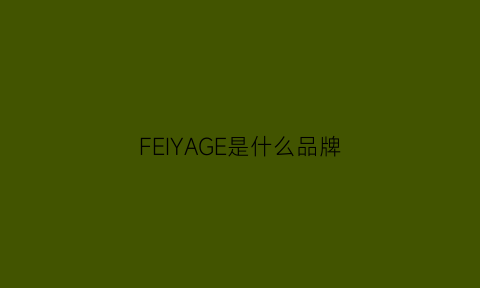 FEIYAGE是什么品牌(feixi是什么牌子)