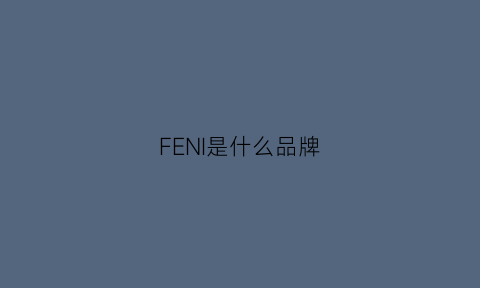 FENI是什么品牌(felmini是什么品牌)