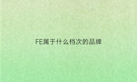 FE属于什么档次的品牌(fel是什么牌子)