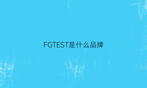 FGTEST是什么品牌