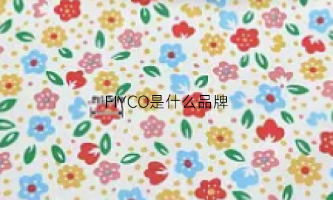 FIYCO是什么品牌(frico是什么牌子)