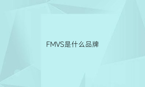 FMVS是什么品牌(fm是啥品牌)