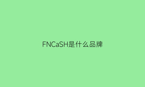 FNCaSH是什么品牌(fngla是什么品牌)