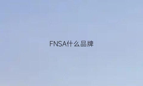 FNSA什么品牌