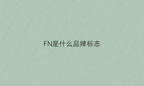 FN是什么品牌标志(fnl是什么品牌)