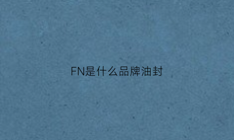 FN是什么品牌油封