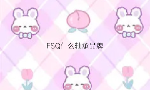 FSQ什么轴承品牌(fs轴承是什么厂家)