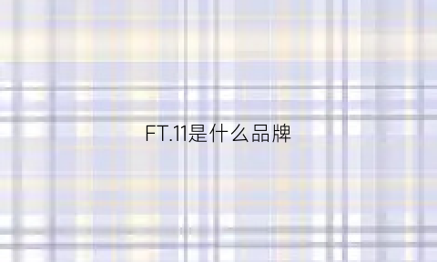 FT11是什么品牌