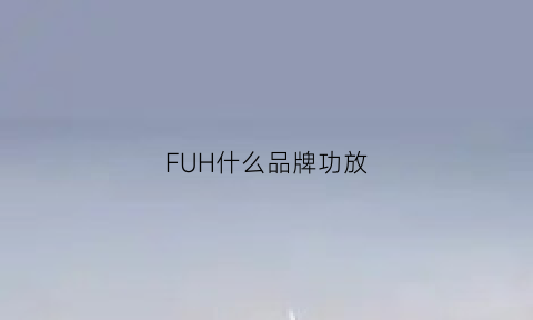 FUH什么品牌功放