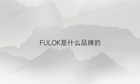 FULOK是什么品牌的(fuel是什么品牌)