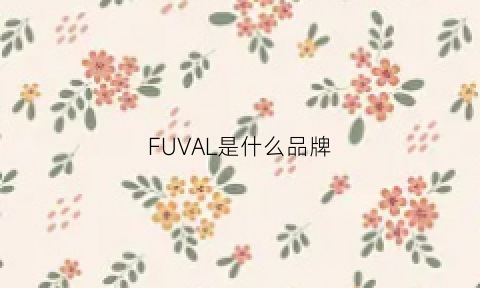 FUVAL是什么品牌(fu是什么牌子)