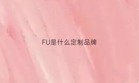 FU是什么定制品牌(fudi是什么品牌)