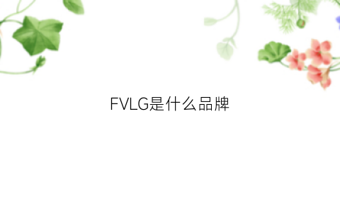 FVLG是什么品牌