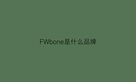 FWbone是什么品牌(fw是什么牌子)