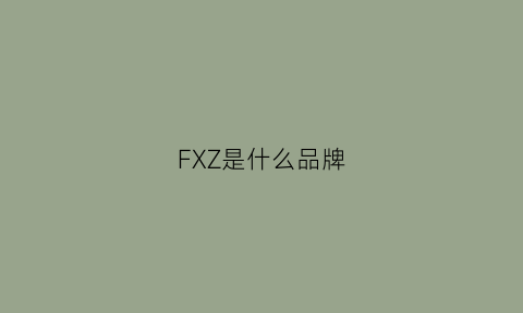 FXZ是什么品牌(fxd是什么牌子)