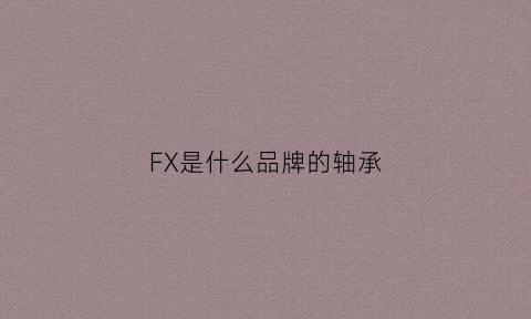 FX是什么品牌的轴承(fgj是什么品牌轴承)