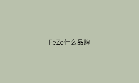 FeZe什么品牌(free是什么牌子)