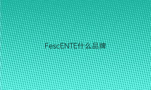 FescENTE什么品牌(feien是什么牌子)