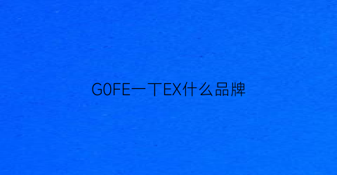 G0FE一丅EX什么品牌(gf是什么品牌)