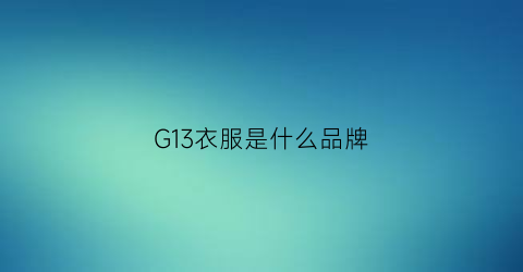 G13衣服是什么品牌(g11是什么服装牌子)