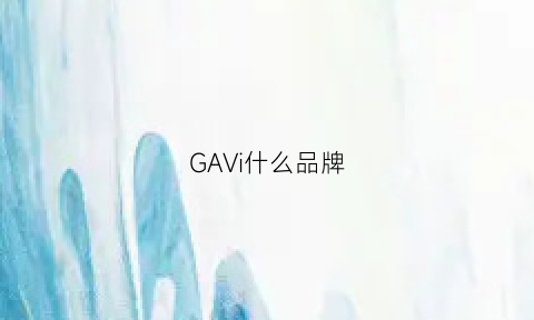 GAVi什么品牌(ga是什么牌子)