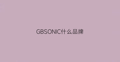 GBSONIC什么品牌(gbs是什么品牌)