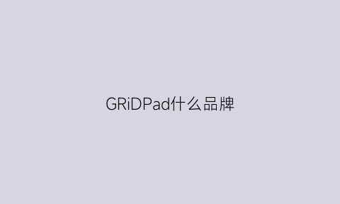 GRiDPad什么品牌(paddock是什么牌子)