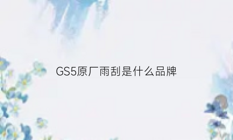 GS5原厂雨刮是什么品牌(gs5雨刷维修模式)