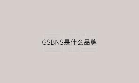 GSBNS是什么品牌