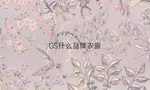 GS什么品牌衣服